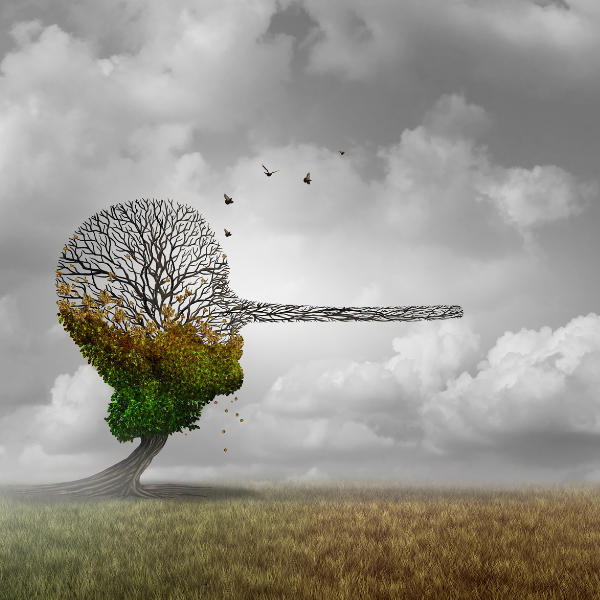 الصديق المزيف