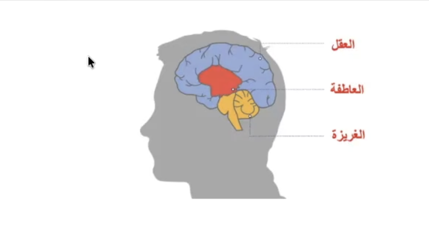 اختبار الإينياغرام: كيف تفهم نفسك لتتوقف عن تكرار نفس النتائج؟ 5 الإينياغرام